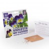 Violette comestible à semer - Radis et capucine