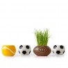 Ballon de foot avec gazon à semer - Radis et Capucine