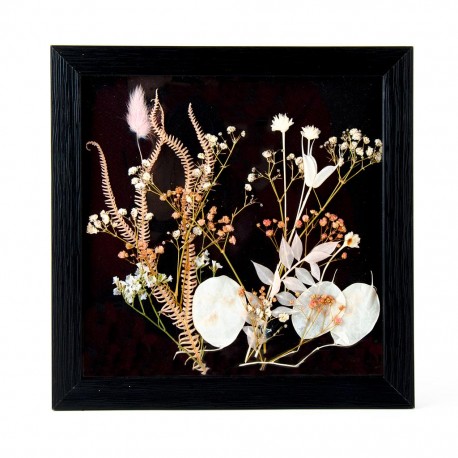 Cadre noir fleurs séchées 23x23 cm - Cocoon Factory