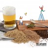 Atelier Brassage de Bière bio à Angers avec repas et dégustation