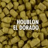 Houblon EL DORADO (mixte) pour brassage