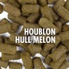 Houblon HULL MELON (aromatique) pour brassage